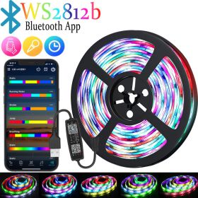 RGB Color-changing 5V Magic USB Light Strip (Option: WS2812b Bluetooth-15M)