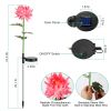 2 Packs Solar LED Chrysanthemum Lights Solar Powered Garden Flower Stake Lamp